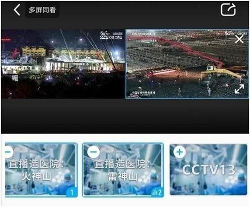 灰网全集在线观看,揭秘网络世界的隐秘角落  第3张